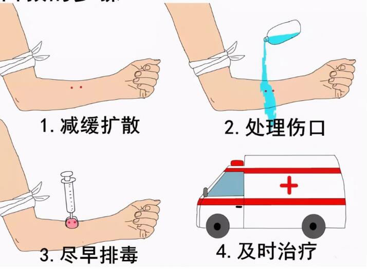 好危险！广西小区惊现2米眼镜蛇，男子出电梯险些被咬，有多毒？