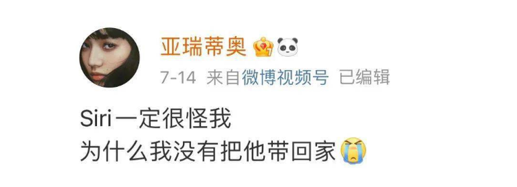 空运改陆运,致金毛Siri无辜离世!该如何安全托运宠物呢? 空运改陆运,致金毛Siri无辜离世!该如何安全托运宠物呢?