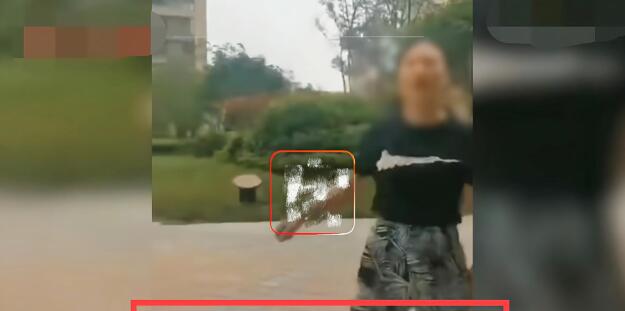 安徽一遛狗女子自称老板:“狗命比人命值钱”,公司:已解聘 安徽一遛狗女子自称老板:“狗命比人命值钱”,公司:已解聘
