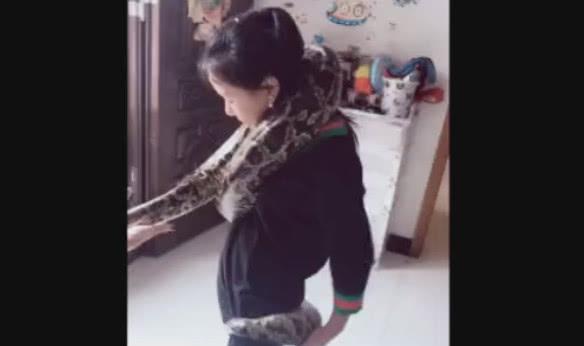 闺蜜要给我看她的宠物, 结果扛出来后, 我被吓傻了! 闺蜜要给我看她的宠物, 结果扛出来后, 我被吓傻了!
