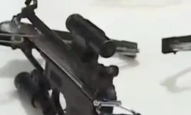 湖北父子联手作案，网购毒镖射杀100多只狗，获利2万多元