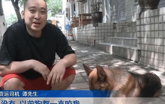 狗来财!重庆货车司机被大狼狗赖上,走哪跟哪甩都甩不掉,寻主人 狗来财!重庆货车司机被大狼狗赖上,走哪跟哪甩都甩不掉,寻主人