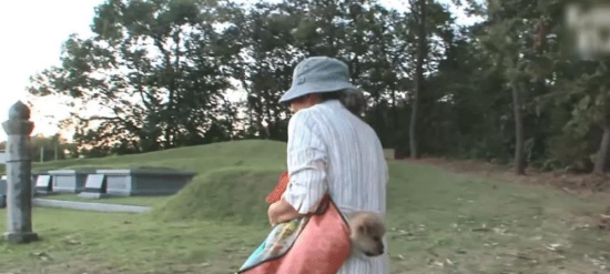 老人每天背小狗坐车遭怀疑,网友跟踪到墓地发现感人一幕… 老人每天背小狗坐车遭怀疑,网友跟踪到墓地发现感人一幕…