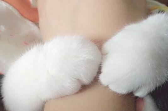 猫咪中毒身亡，铲屎官难以接受，带猫去解剖，得知真相后直抽自己