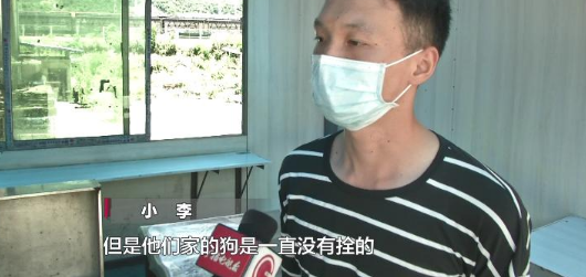 贵阳街边放养大狗不拴绳 闯祸后主人竟这样说 贵阳街边放养大狗不拴绳 闯祸后主人竟这样说