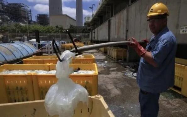 鲱鱼放屁致两国对立？牛顿的狗差点让物理学倒退？盘点6个动物导致的误会