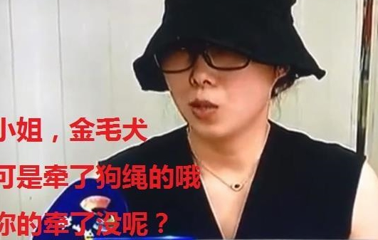 老人遭未牵绳小狗扑咬，金毛本可逃命却返回护主，被男狗主打死