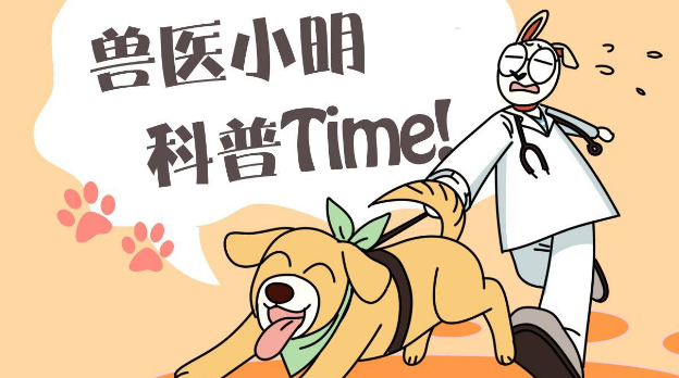 正准备去取车时，发现玻璃前坐了3只猫：这是几个意思啊？ 
