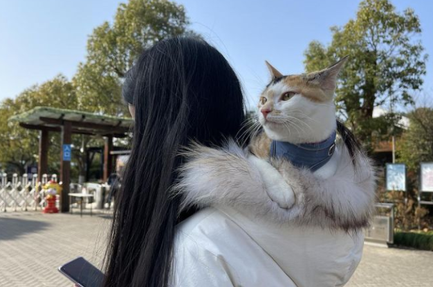 晓看天色暮看云—带着猫咪去远行 晓看天色暮看云—带着猫咪去远行