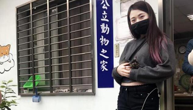 小小喵星人被困粘鼠板,幸得好心人救助,终被萌妹收养 小小喵星人被困粘鼠板,幸得好心人救助,终被萌妹收养