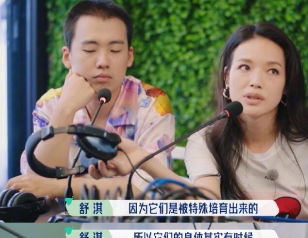 舒淇自曝养猫经验，呼吁领养代替购买，曾多次发文保护流浪猫获赞