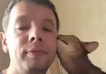 一只心机猫，假装向主人撒娇，却偷偷的去抓鸡腿，爪子伸的老长！