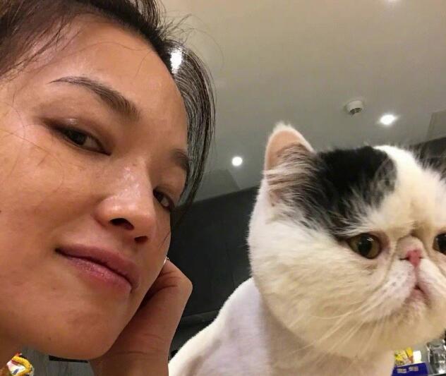 舒淇自曝养猫经验，呼吁领养代替购买，曾多次发文保护流浪猫获赞