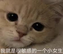 还在怀疑猫主子是否真的爱你么?科学家帮大家验证啦!