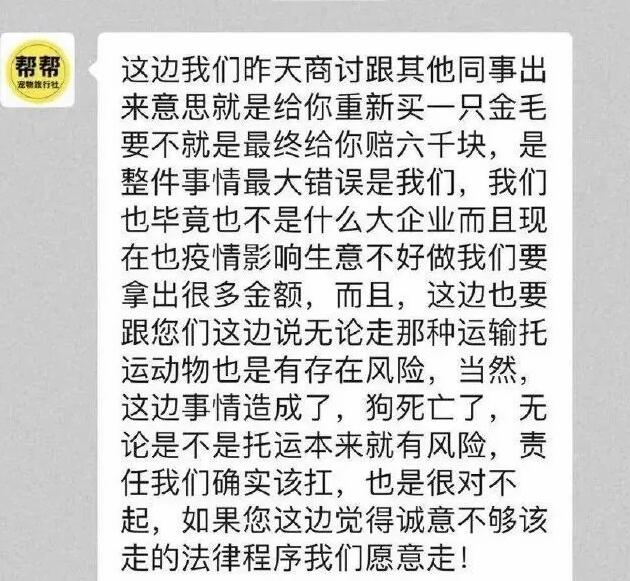 收空运的钱却走陆运?宠物托运途中死亡,多部门介入,陈乔恩愤怒发声 收空运的钱却走陆运?宠物托运途中死亡,多部门介入,陈乔恩愤怒发声