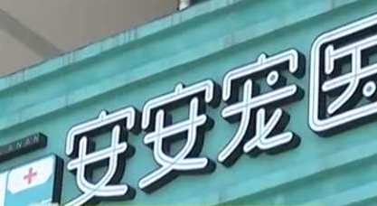 男子花6000给狗做剖腹产，治疗费花2万多，男子：笑掉大牙