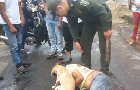铲屎官喝的烂醉大街上倒头就睡，民警上前叫醒，却遭到狗狗阻挠！