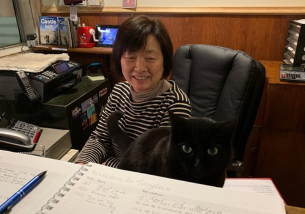 如果主人无意中做出这5种行为，猫咪会体谅吗？别太“频繁”就好