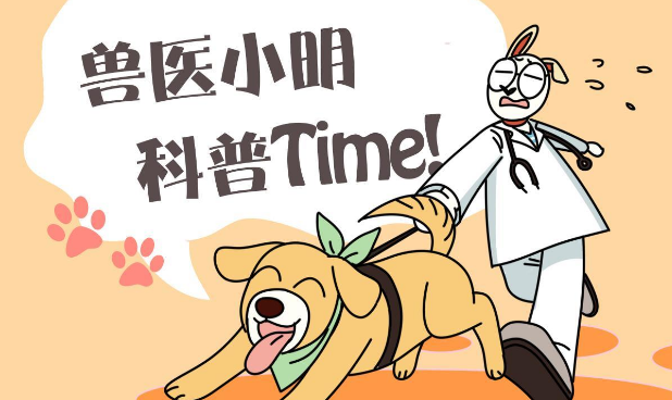 6000元买的猫咪，本来走的是霸道总裁路线，现在白送都没人要 