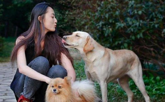 俗语“喂狗别喂饱”，其实下半句更发人深思，都是先人的逆耳忠告