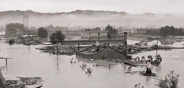 80年代蛇灾：洪水让蛇遍地四散、成群出现，居民以为有天灾发生