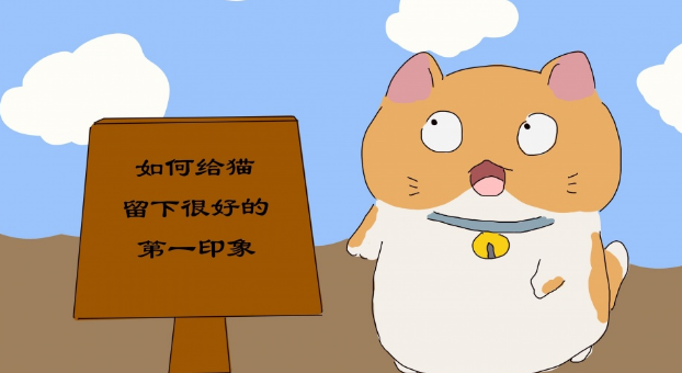 铲屎官给幼猫留下的第一印象对猫很重要