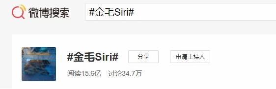 收空运的钱却走陆运?宠物托运途中死亡,多部门介入,陈乔恩愤怒发声 收空运的钱却走陆运?宠物托运途中死亡,多部门介入,陈乔恩愤怒发声
