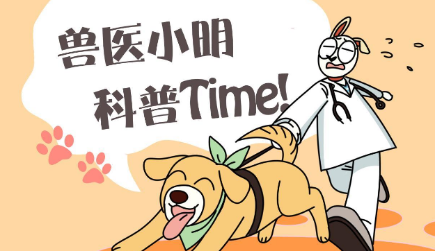 男子打游戏时感觉一阵凉意,扭头看见猫咪却不敢动了:啥眼神? 男子打游戏时感觉一阵凉意,扭头看见猫咪却不敢动了:啥眼神?