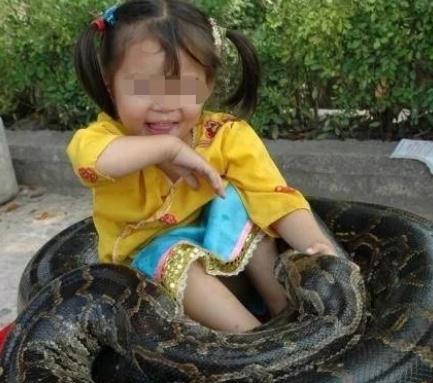 夫妻俩养蟒蛇，蟒蛇却和女儿很亲密，医生看到后不淡定了