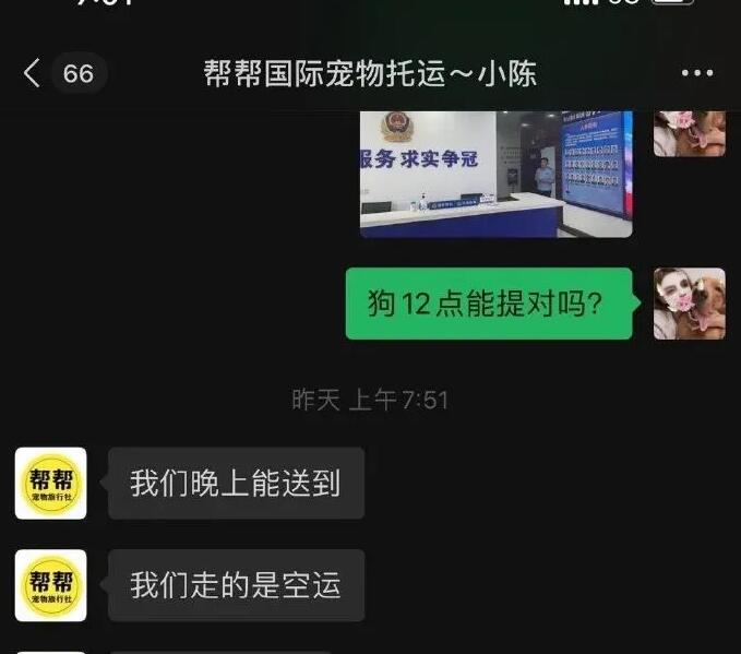 收空运的钱却走陆运?宠物托运途中死亡,多部门介入,陈乔恩愤怒发声 收空运的钱却走陆运?宠物托运途中死亡,多部门介入,陈乔恩愤怒发声