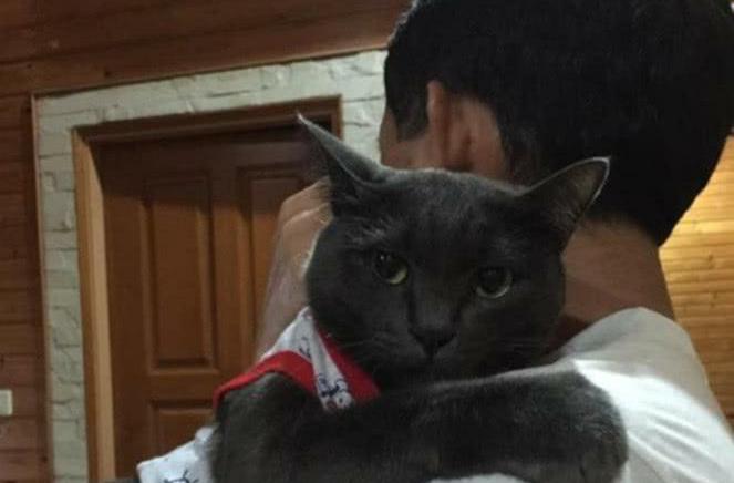 女子劝男友养只猫咪, 男友自从养了猫后, 发现自己失宠了!