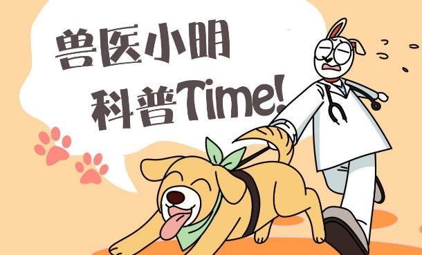 狗子身上拴着铁链和石头,本以为是虐待,了解情况后不知该不该气 狗子身上拴着铁链和石头,本以为是虐待,了解情况后不知该不该气