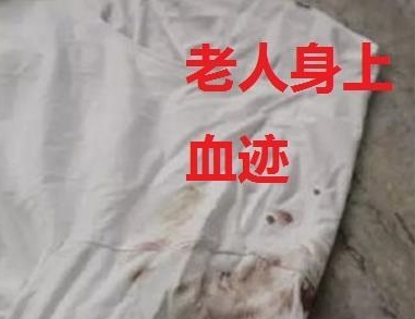 老人遭未牵绳小狗扑咬，金毛本可逃命却返回护主，被男狗主打死