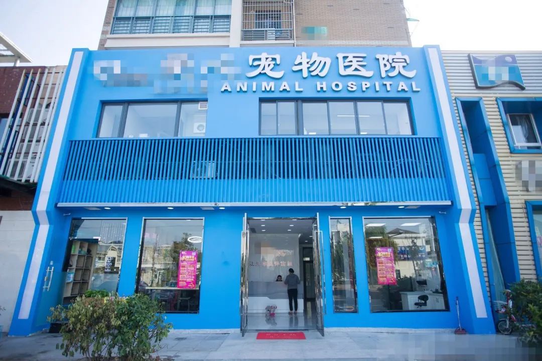 勿让“宠爱”变“宠害”,公益诉讼推动宠物医疗废弃物联合整治 勿让“宠爱”变“宠害”,公益诉讼推动宠物医疗废弃物联合整治