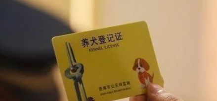 开车撞了狗要不要赔偿交警提醒不满足这2个条件,不用赔 开车撞了狗要不要赔偿交警提醒不满足这2个条件,不用赔