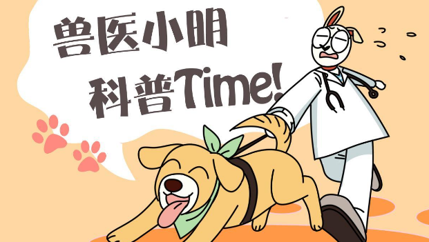 流浪狗坐在路边抽泣,嘴巴被人用针缝了起来,了解情况后心疼了 流浪狗坐在路边抽泣,嘴巴被人用针缝了起来,了解情况后心疼了