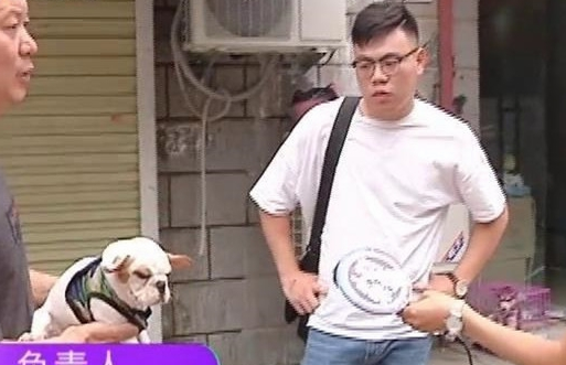 男子买了条法国斗牛犬,回家一看傻了眼,老板:你打电话报警吧 男子买了条法国斗牛犬,回家一看傻了眼,老板:你打电话报警吧