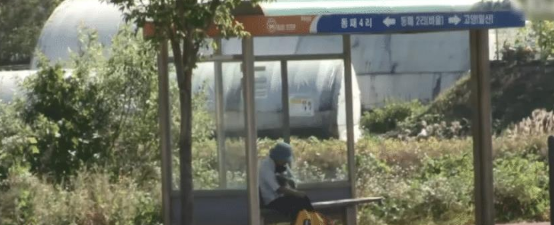 老人每天背小狗坐车遭怀疑，网友跟踪到墓地发现感人一幕…