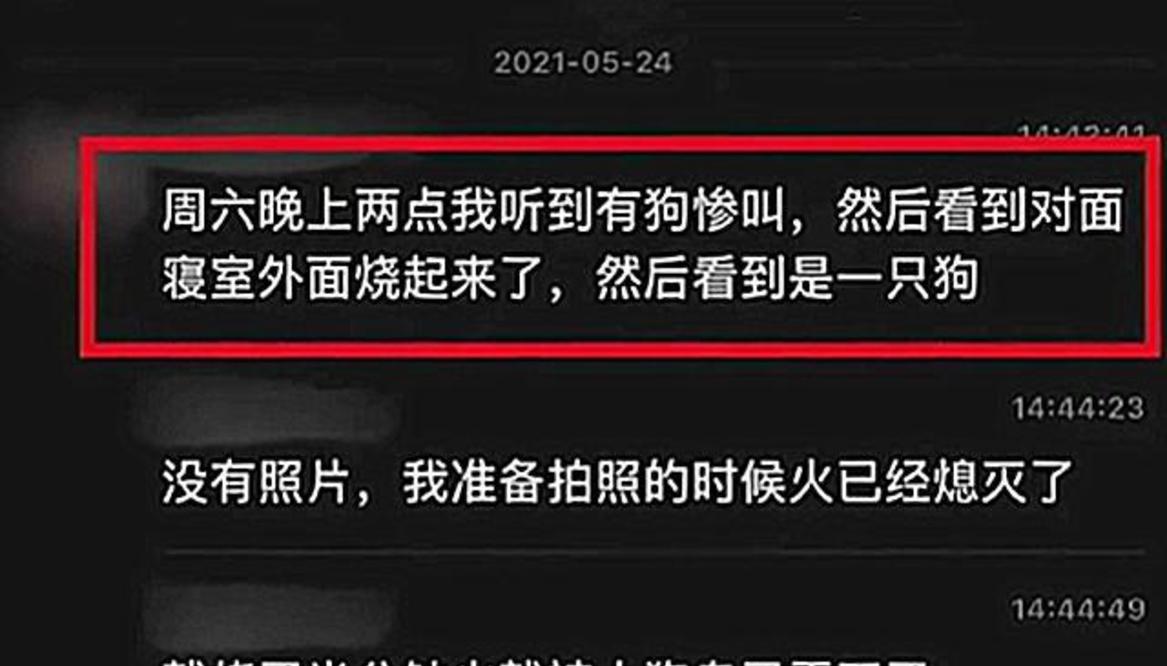 南京某高校有人火烧流浪狗？涉事学生：喝醉了，学校：意外事故 
