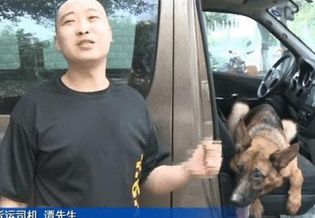 狗来财！重庆货车司机被大狼狗赖上，走哪跟哪甩都甩不掉，寻主人