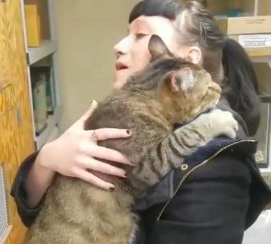 家有宠物,猫咪和鹦鹉这样的组合是怎样的体验? 家有宠物,猫咪和鹦鹉这样的组合是怎样的体验?