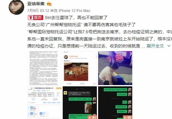 收空运的钱却走陆运?宠物托运途中死亡,多部门介入,陈乔恩愤怒发声 收空运的钱却走陆运?宠物托运途中死亡,多部门介入,陈乔恩愤怒发声