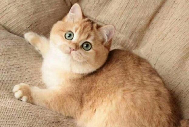 哈希娱乐- 哈希游戏平台- 哈希游戏官方网站高楼最新资讯-快科技--科技改变未来