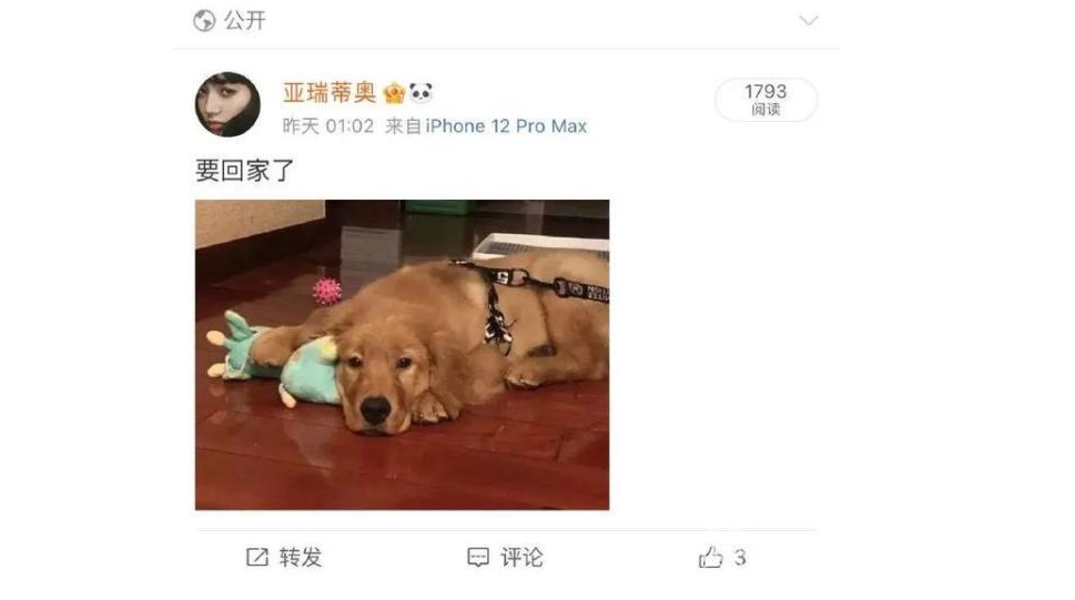 宠物托运发生死亡，赔偿怎么算？