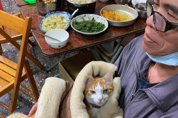 老爸明确拒绝养猫，隔了段时间再去看：这脸疼不疼啊？ 