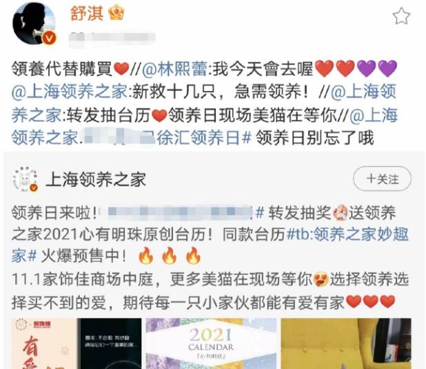 舒淇自曝养猫经验，呼吁领养代替购买，曾多次发文保护流浪猫获赞
