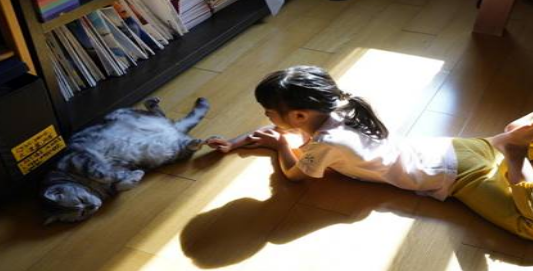 姚晨女儿逗猫照万人点赞!猫是育儿神器,养猫对孩子的10大好处 姚晨女儿逗猫照万人点赞!猫是育儿神器,养猫对孩子的10大好处