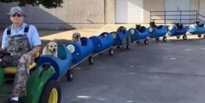 80岁老爷爷自做遛狗神器，开拉风“狗火车”兜风，回头率太高啊