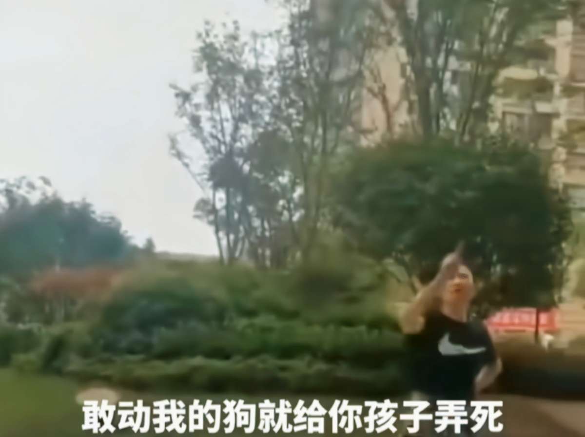 安徽：女子遛狗伤人，疯狂叫嚣：我有钱，敢动我狗就弄死你家孩子