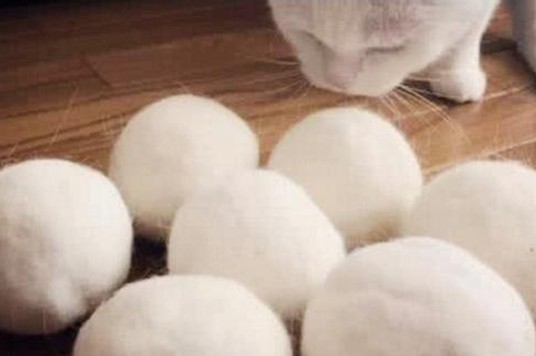 女子收集猫咪毛发两年,做成圆球拿给猫咪 女子收集猫咪毛发两年,做成圆球拿给猫咪